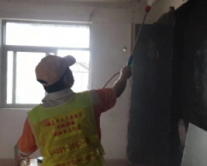 橫琴新區白蟻防治公司,橫琴專業滅白蟻,金